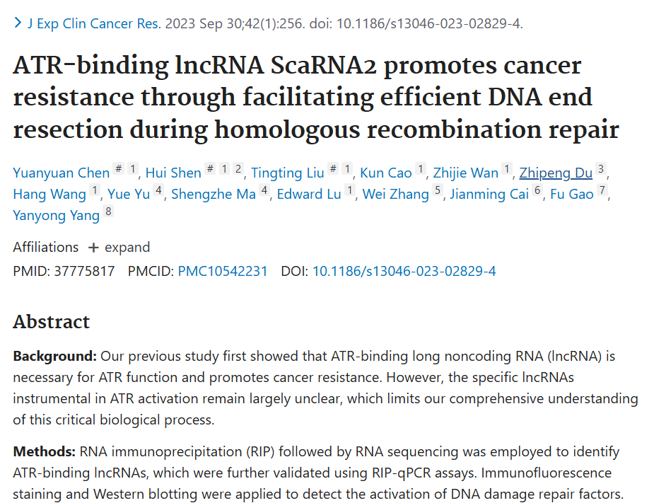 Publication screenshot